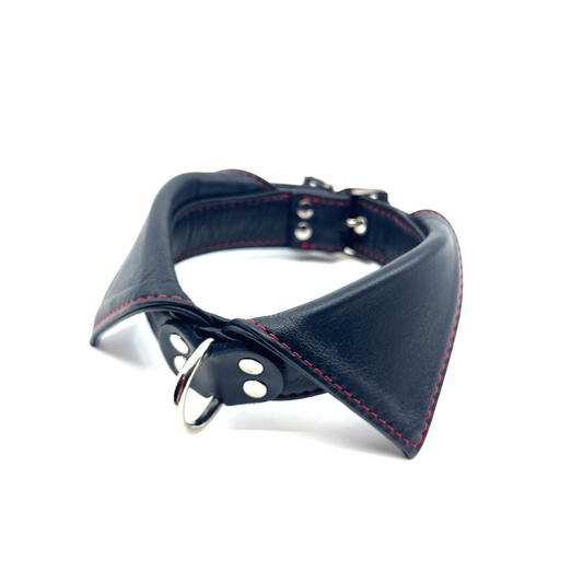Leather Shirt Collar - Dee Ring